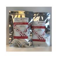 ImmunoChemistry Technologies9156自噬试验，红色,Autophagy Assay, Red，50 tests，200 tests