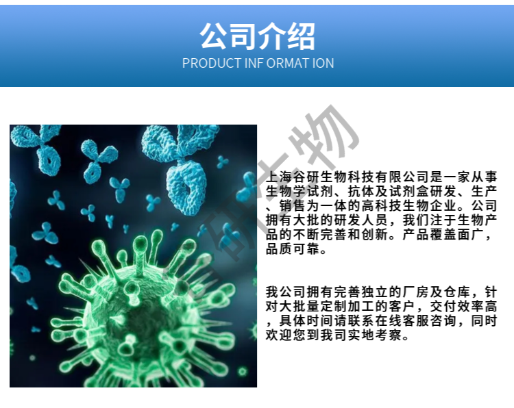Rabbit Anti-Human IgG F(ab')₂ 