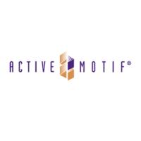 Active Motif抗体、染色质免疫沉淀、荧光分析、蛋白质检测分析、重组蛋白与酶样本制备、转染