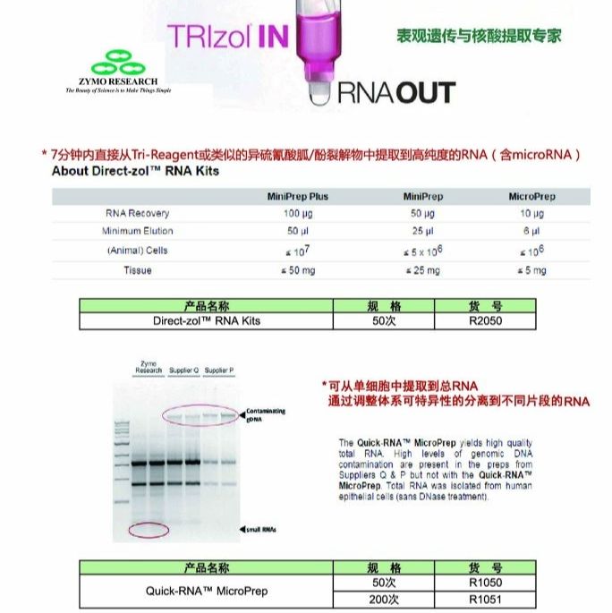 Zymo Research货号R1050现货Quick-RNA MicroPrep Kit快速RNA提取试剂盒13611631389上海睿安生物