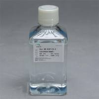 抗体清除液（强碱性）