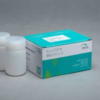 5×MOPS 蛋白电泳缓冲液