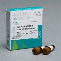 ER-Tracker Red(内质网红色荧光探针)