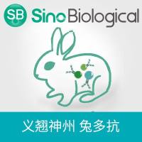 绿色小单孢菌 Neuraminidase / Sialidase 兔多抗