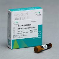 Lyso-Tracker Red(溶酶体红色荧光探针)