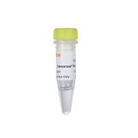 Hieff NGS® Fast-Pace DNA Fragmentation Reagent 快速片段化/末端修复/A尾添加模块  
