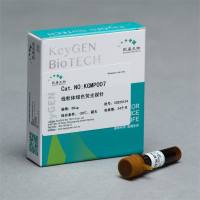 Mito-Tracker Green(线粒体绿色荧光探针)