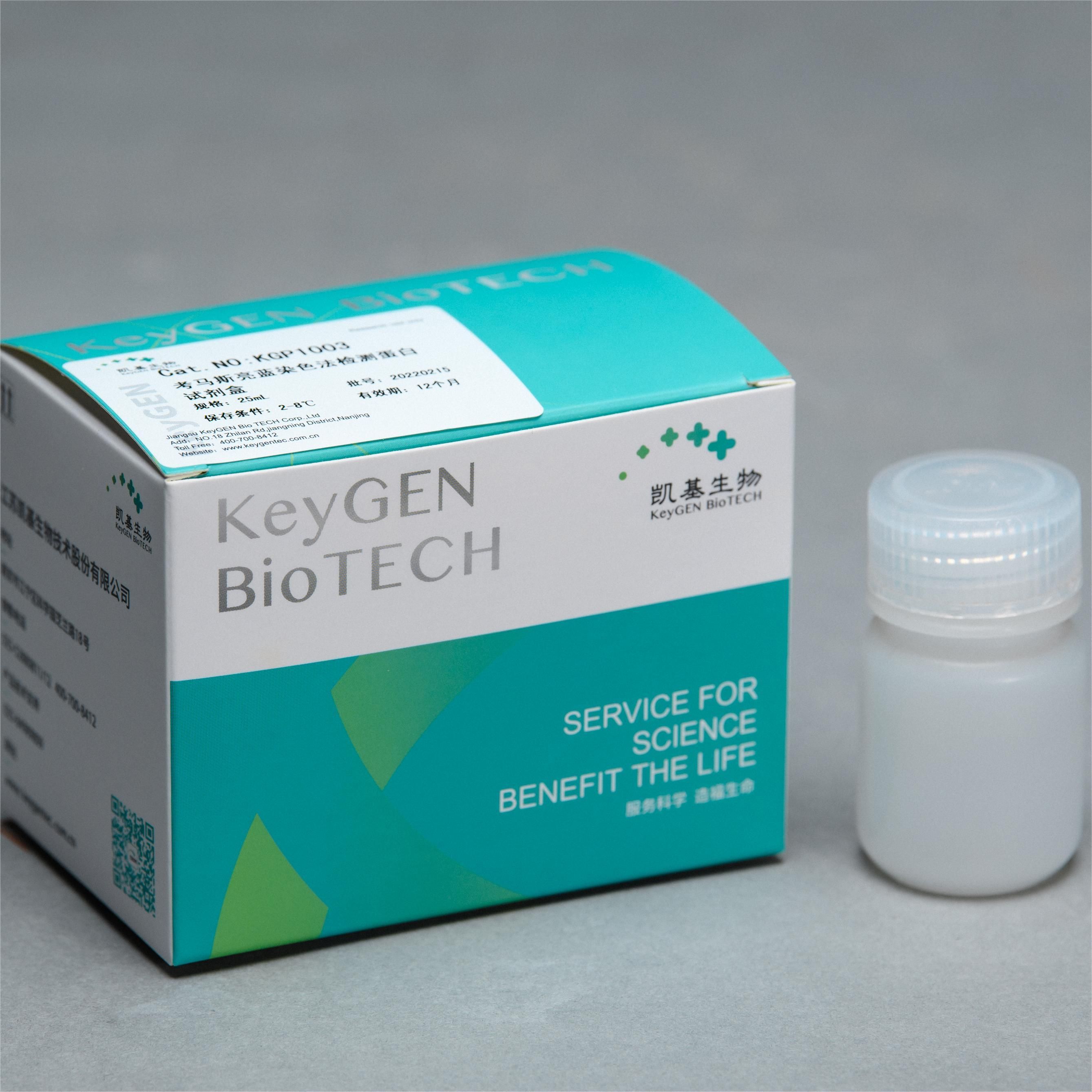 蛋白质考马斯亮蓝(R-250)染色检测试剂盒