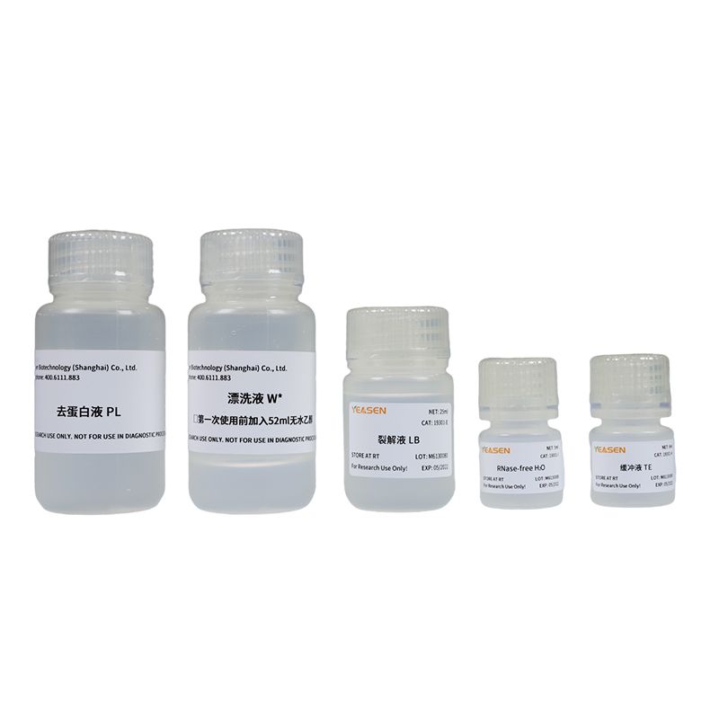细菌RNA提取试剂盒 MolPure® Bacterial RNA Kit
