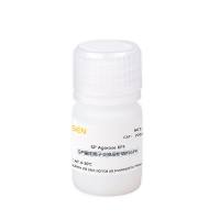 SP强阳离子交换层析填料6FF(SP Agarose 6FF)