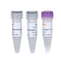 Hifair Ⅲ cDNA第一链合成即用型预混液