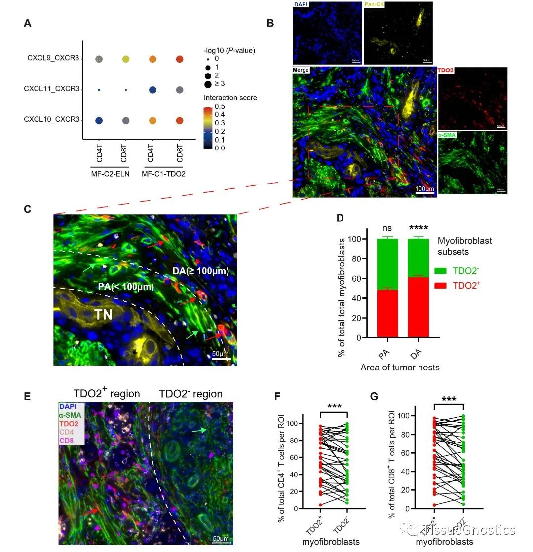 TissueFAXS Cytometry肿瘤免疫方向经典文章分享