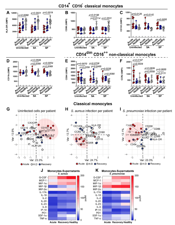 4D蛋白质组--在COVID-19中，过度炎症环境导致骨髓细胞效应反应功能失调