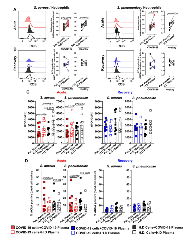 4D蛋白质组--在COVID-19中，过度炎症环境导致骨髓细胞效应反应功能失调