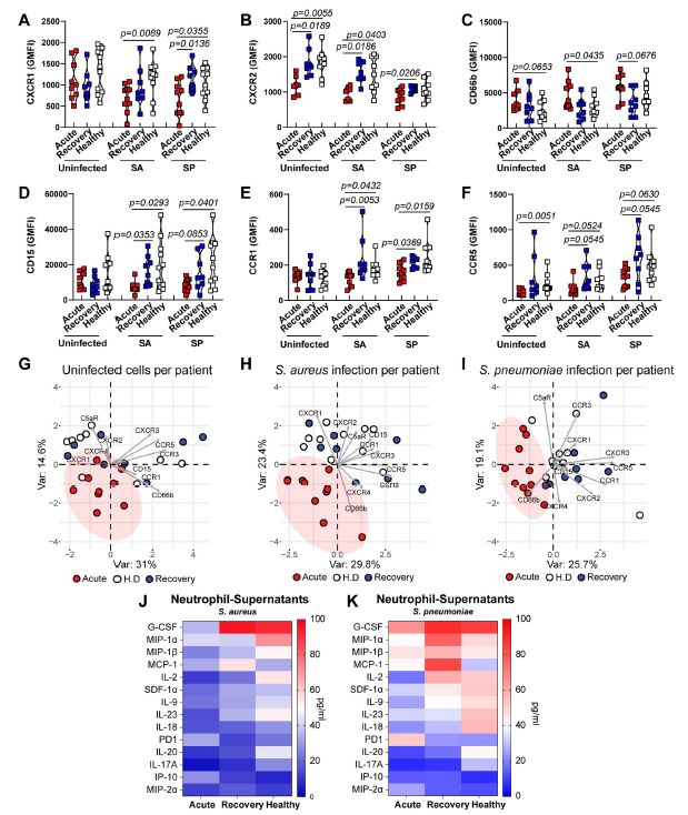 4D蛋白质组--在COVID-19中，过度炎症环境导致骨髓细胞效应反应功能失调