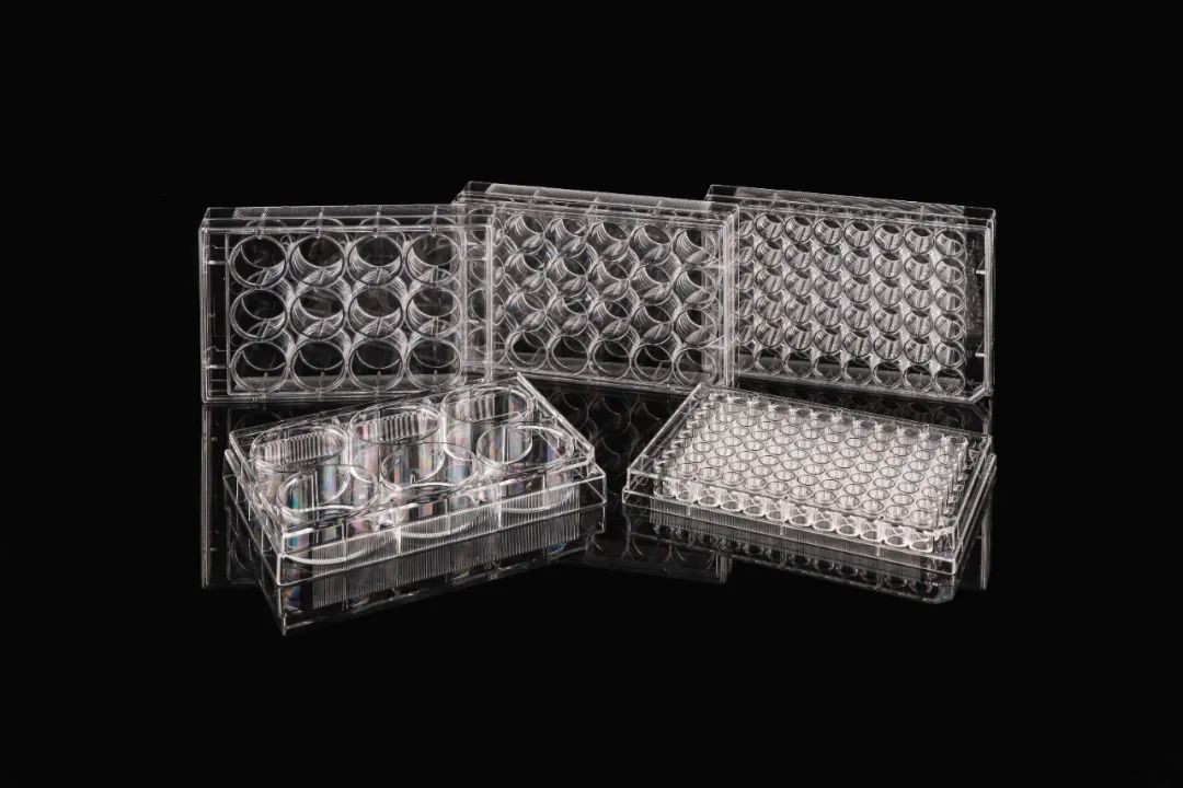 解决方案 | 细胞融合实验操作简要流程