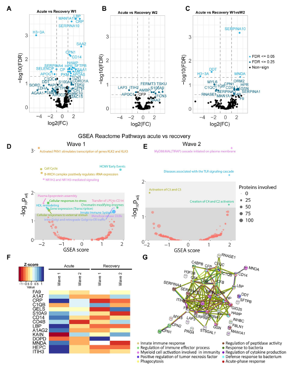 4D蛋白质组--在COVID-19中，过度炎症环境导致骨髓细胞效应反应功能失调