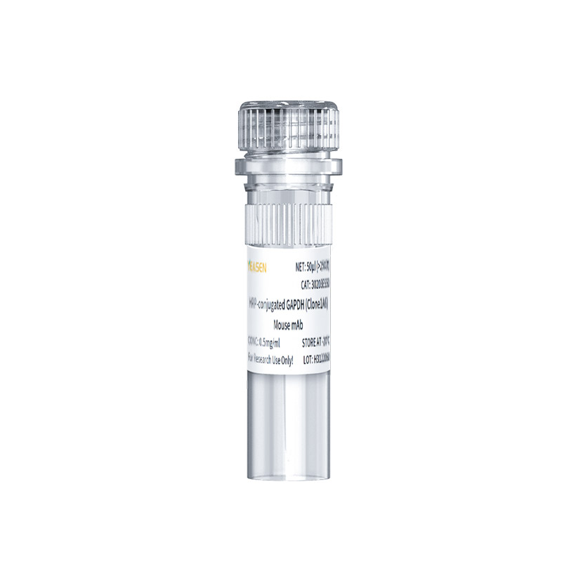 HRP标记小鼠抗GAPDH单克隆抗体