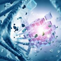 酶联免疫ELISA检测