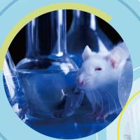 SBC实验动物研究平台