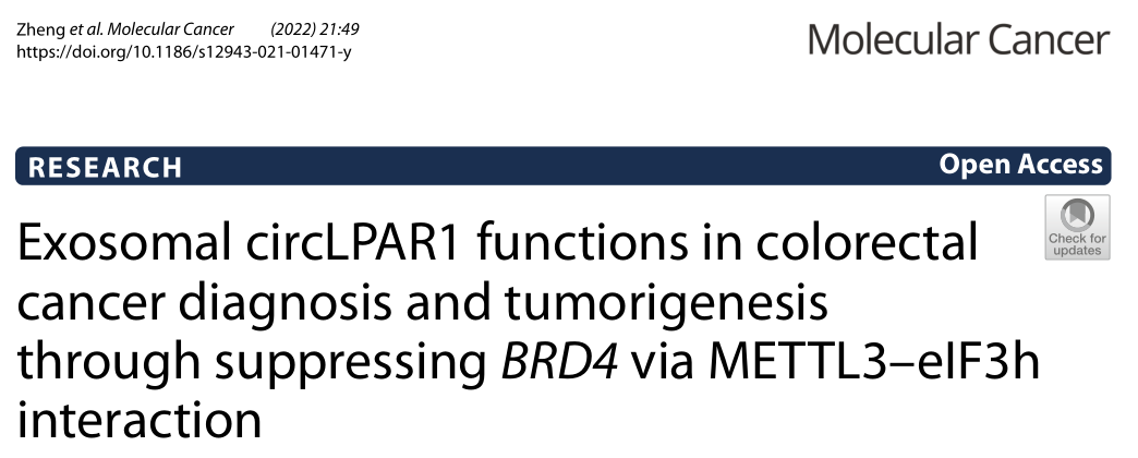 恭喜 Umibio 客户在 Molecular cancer 发表 IF=27 分文章，助力肿瘤外泌体circRNA 研究！