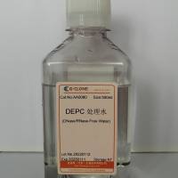 DNase/RNase-Free Water（DEPC处理水）