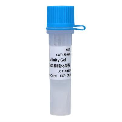 Anti-V5标签亲和纯化凝胶(Anti-V5 Affinity Gel)