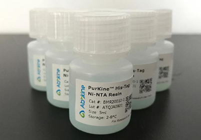 蛋白纯化专题| Abbkine PurKine™蛋白纯化系列