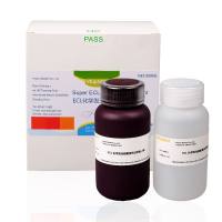 ECL化学发光超敏显色试剂盒 Super ECL Detection Reagent ECL