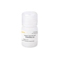 肝素亲和纯化介质(Heparin Agarose 6FF)