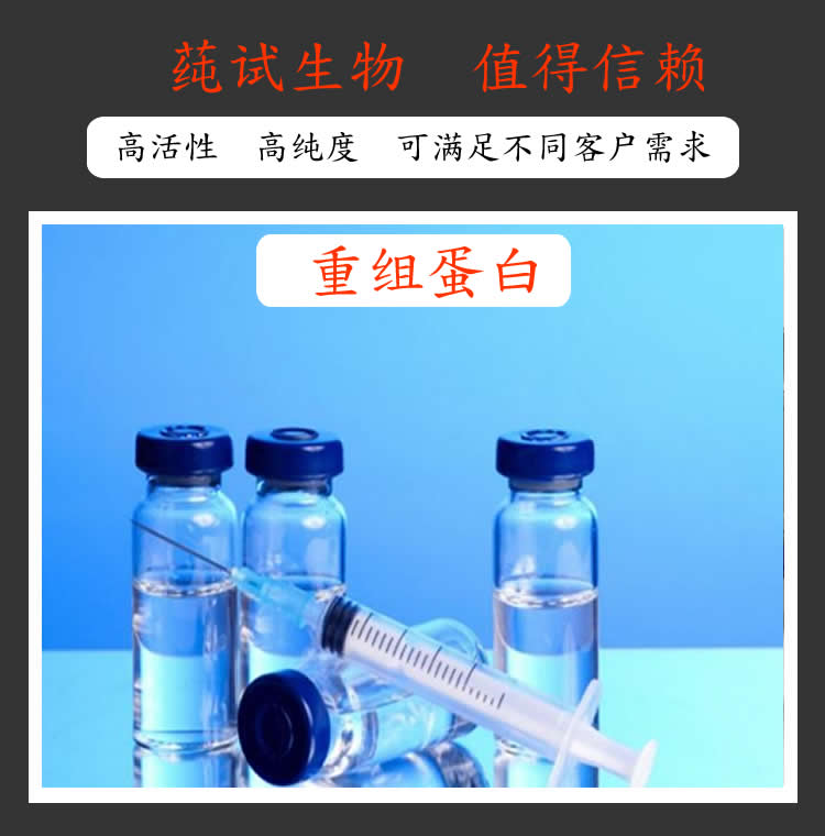 丝裂原激活蛋白激酶支架蛋白1(MAPKSP1)重组蛋白(Hu