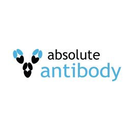 Anti-Tn Antigen [237mAb]