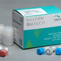 抑制与产生超氧阴离子自由基测试盒（比色法）