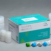 一氧化.氮合成酶（NOS）测试盒[测总NOS（T-NOS）]