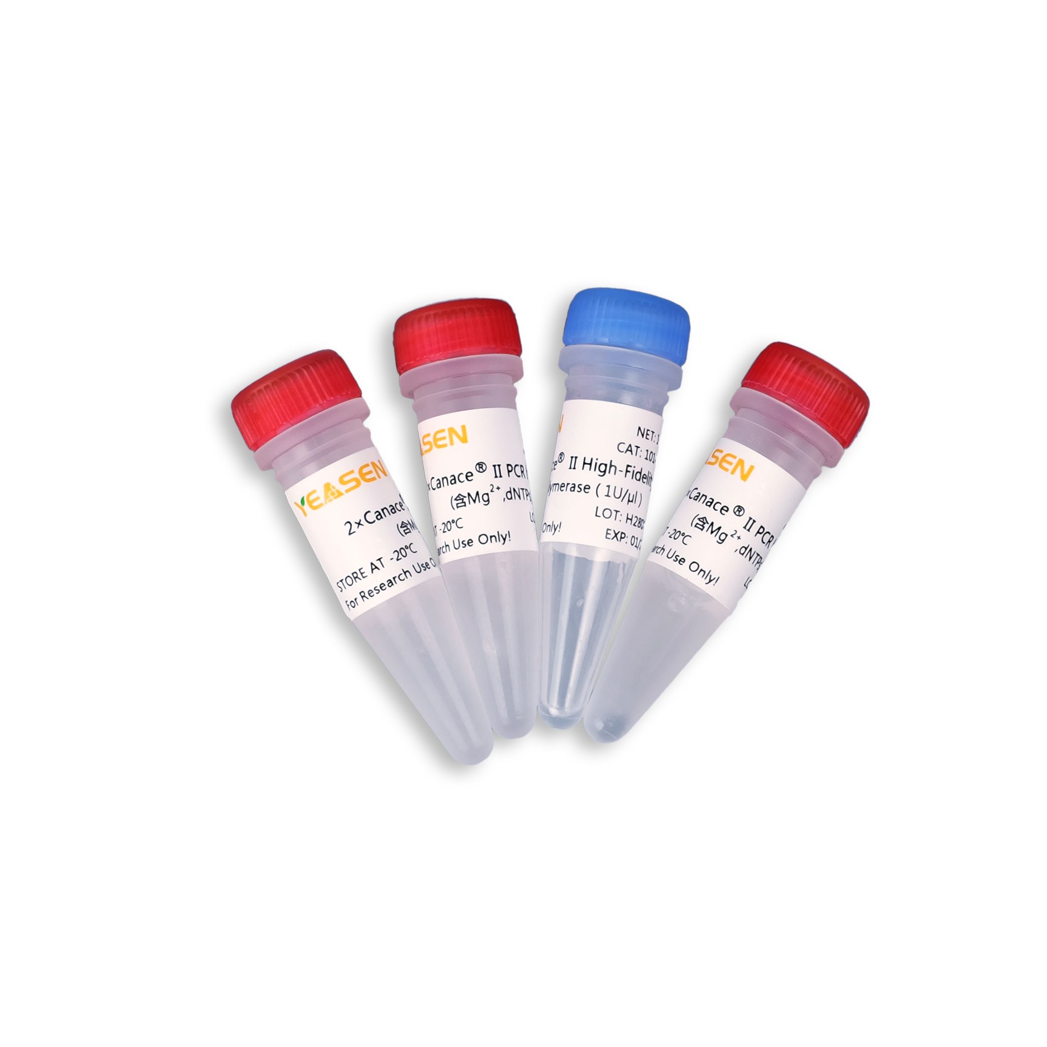 Hieff Canace®Ⅱ High-Fidelity DNA Polymerase 高保真DNA聚合酶