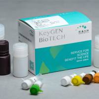 超微量ATP酶测试盒（测Ca2+ATPase）