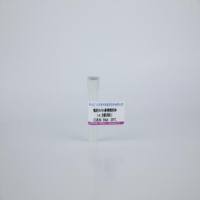 兔抗Actin多克隆抗体( α  β都识别）