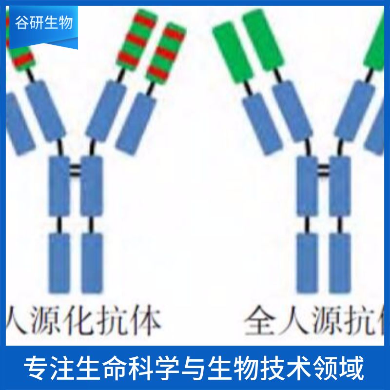 产品封面图