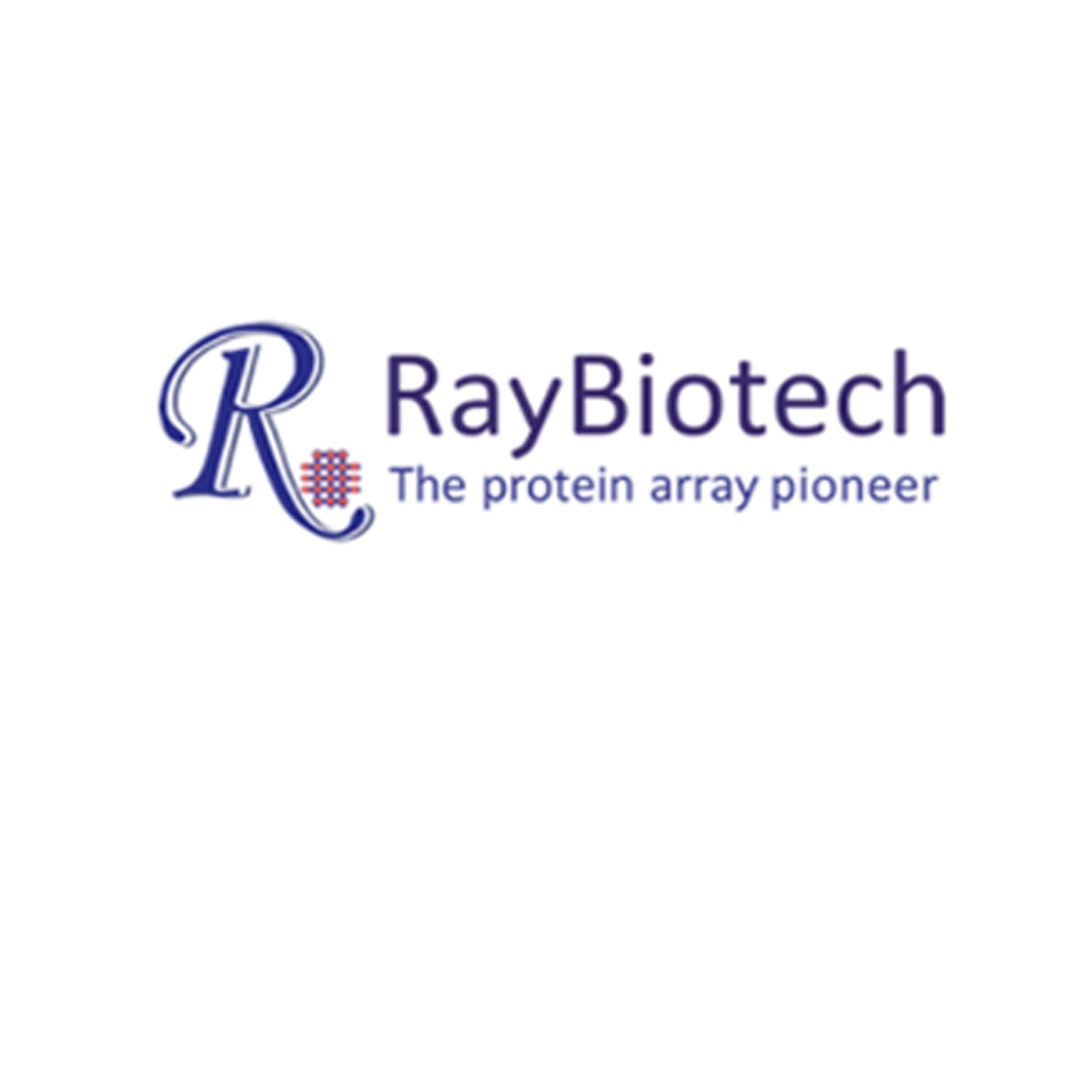 Raybiotech抗体芯片、ELISA/EIA、抗原抗体为主的酶免产品
