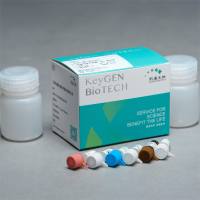 谷胱甘肽—还原酶（GR）测试盒