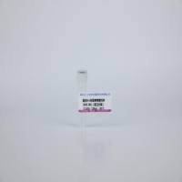 鼠抗His标签单克隆抗体 (HIS.H8)（进口分装）