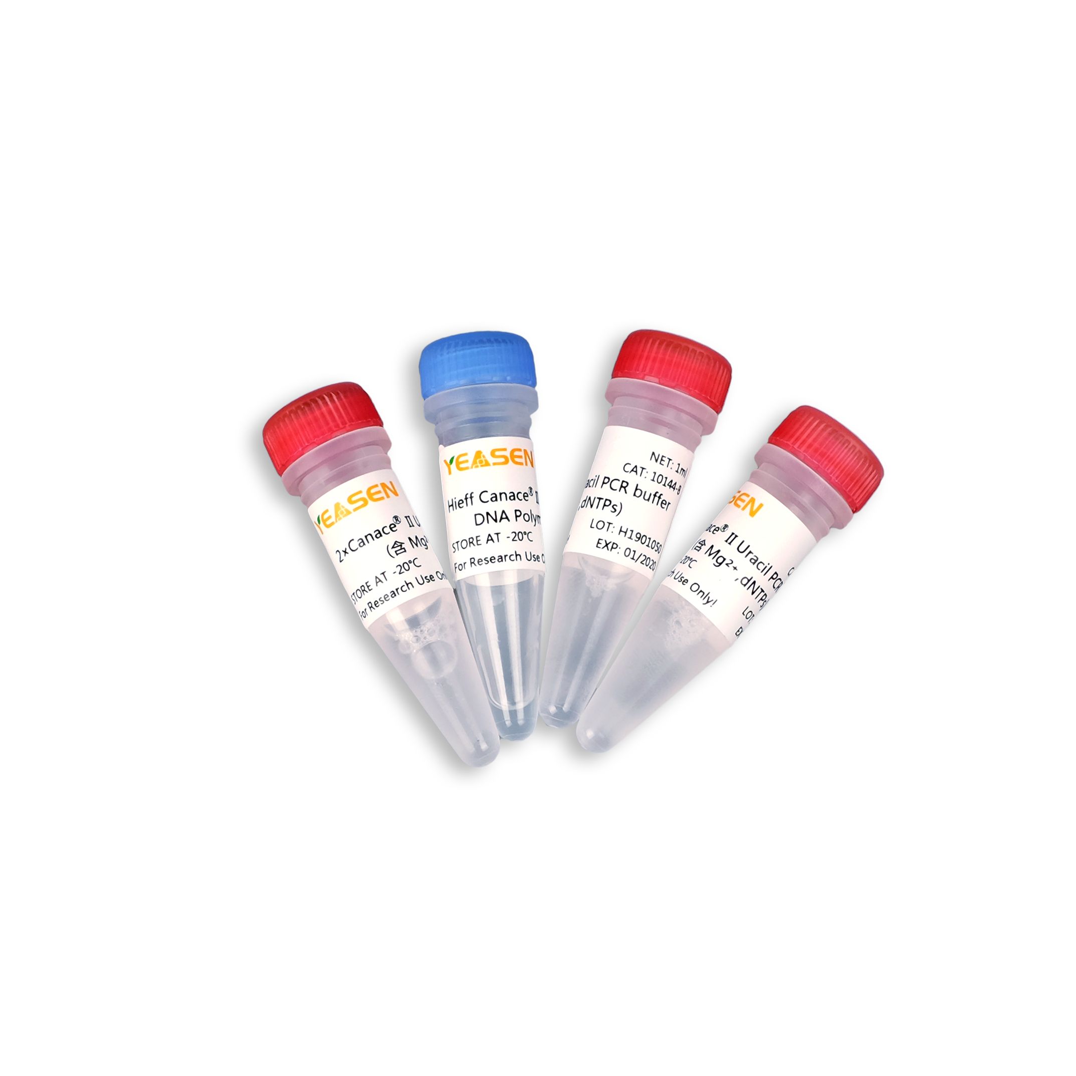 Hieff Canace® II Uracil High-Fidelity DNA Polymerase 高保真DNA聚合酶