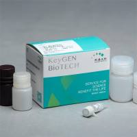 活性氧(羟自由基)测试盒(比色法)