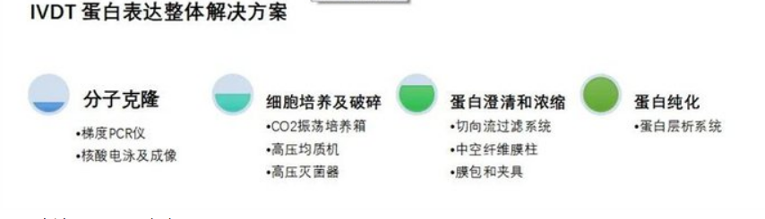 谷胱甘肽过氧化酶1(GPX1)重组蛋白(Mouse，小鼠)