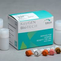 乙酰胆碱酯酶（T-CHE）测试盒