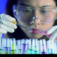 细胞内 GSH(谷胱甘肽)检测试剂盒