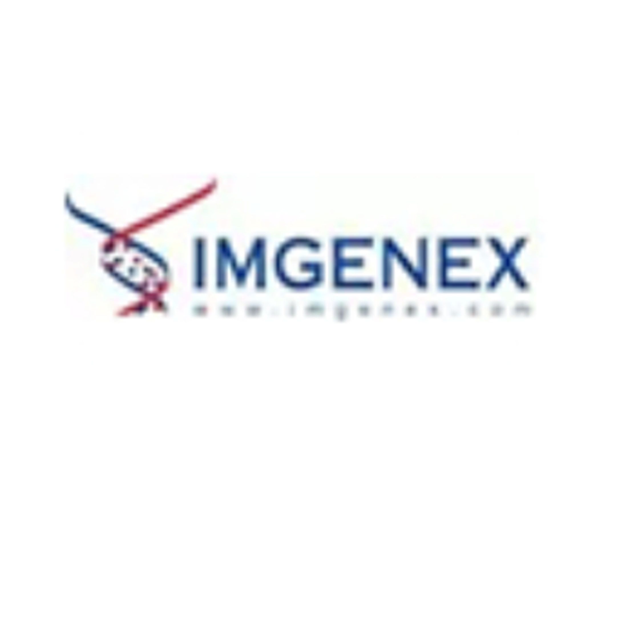 Imgenex抗体、ELISA检测试剂盒、蛋白转染试剂、细胞凋亡、ChIP