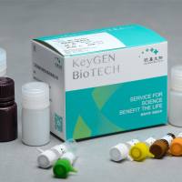 超微量ATP酶测试盒（测Ca2+Mg2+ATPase）