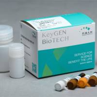 一氧化.氮检测试剂盒(硝酸还原酶法)