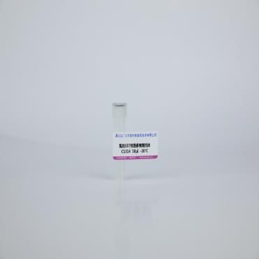 兔抗GST标签多克隆抗体 C1314